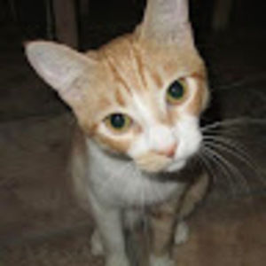 Meet your Posher, Katherine